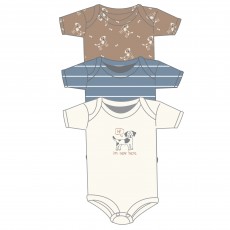 3pk Hanging Set