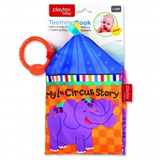 Large Teething Book