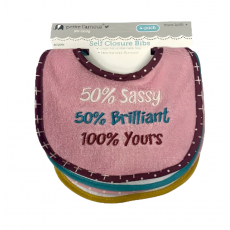 4 Pack Embroidered Bibs
