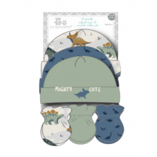 Cap and Mitten Set