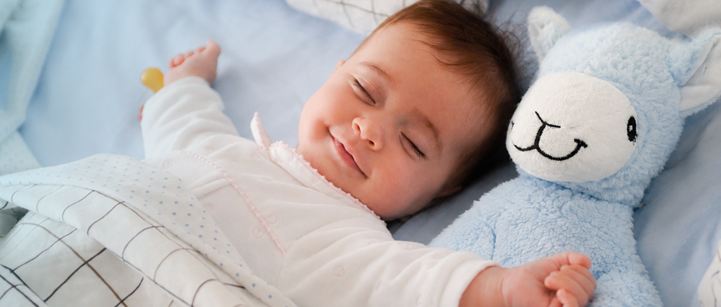 About Babyking Banner